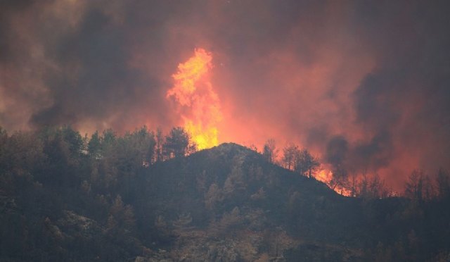 CONSUMUR pide que se adopten medidas urgentes para la prevención de incendios forestales - 1, Foto 1