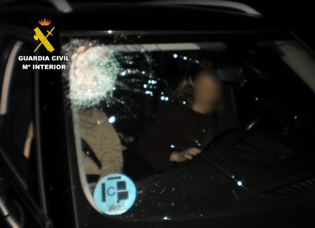 La Guardia Civil investiga a dos menores por lanzar piedras a veh�culos que circulaban por la autov�a, Foto 5