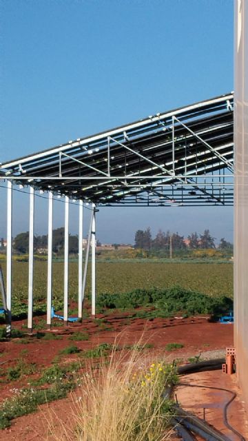 La UPCT impulsa una nueva estructura agrovoltaica que produce alimentos y energía limpia de forma simultánea - 2, Foto 2