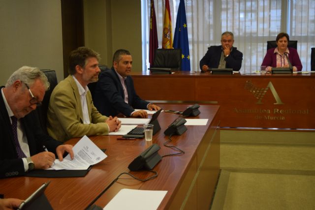 El sector de la flor cortada  tendrá un plan que impulse su proyección nacional e internacional - 1, Foto 1