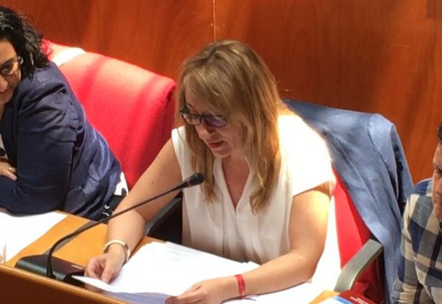 El PSOE logra arrancar el compromiso para que la Directora de Centros Educativos visite el IES Ros Giner - 1, Foto 1