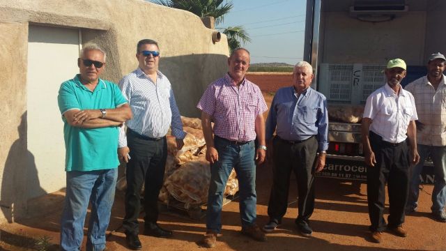 Los agricultores del Campo de Cartagena donan media tonelada de patata recién recolectada al Banco de Alimentos de la Región - 2, Foto 2