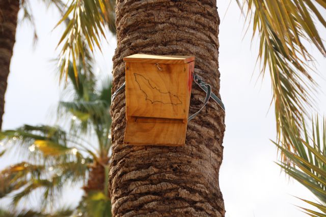 El Ayuntamiento instala 46 cajas nido con la colaboracin de la asociacin Meles, Foto 2