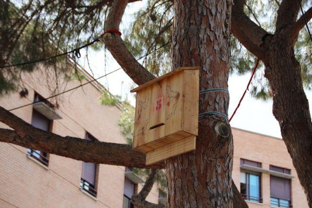 El Ayuntamiento instala 46 cajas nido con la colaboracin de la asociacin Meles, Foto 3