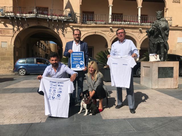 Las calles más emblemáticas de Lorca acogerán el domingo el paseo solidario CoMascoting con el objetivo de concienciar en cuanto a la tenencia responsable de animales de compañía - 1, Foto 1