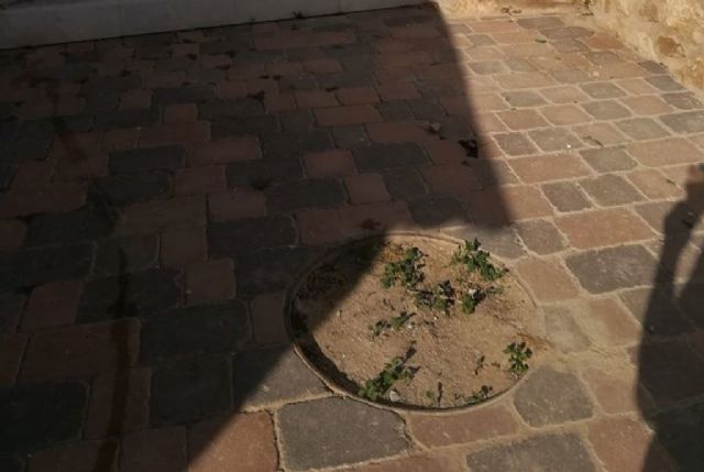 El PSOE solicita el adecentamiento y mejoras de la iluminación en los accesos al Castillo desde San Juan - 3, Foto 3