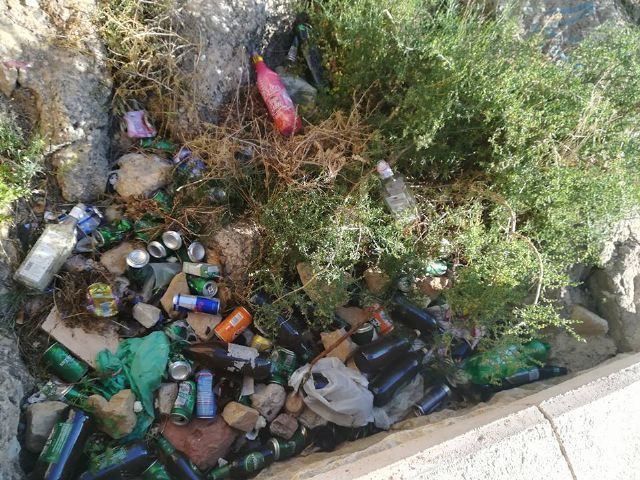 El PSOE solicita el adecentamiento y mejoras de la iluminación en los accesos al Castillo desde San Juan - 5, Foto 5