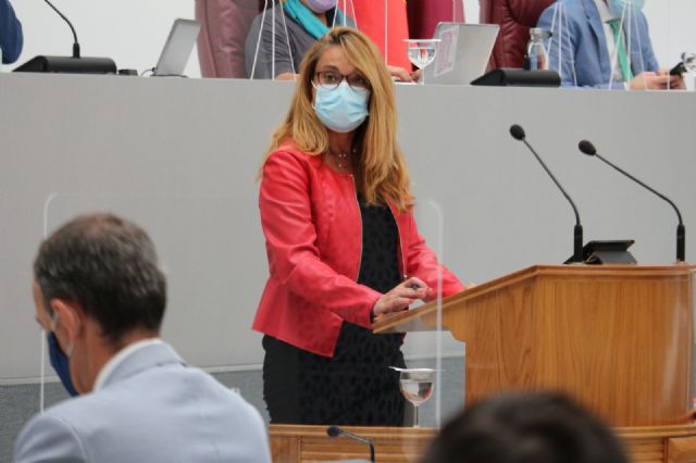 El PSOE denuncia la deslealtad del Gobierno regional, que se atribuye las ayudas del Gobierno de España a autónomos y empresas - 1, Foto 1