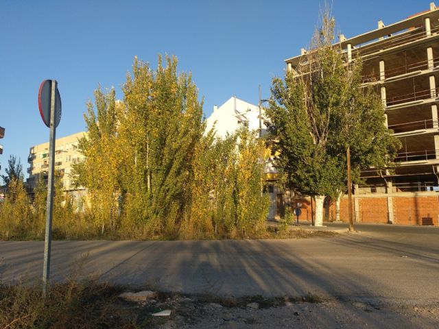 IU VERDES valora como mediocre o mediocre-mala la ejecución de la obra en la Avda de la Asunción - 1, Foto 1