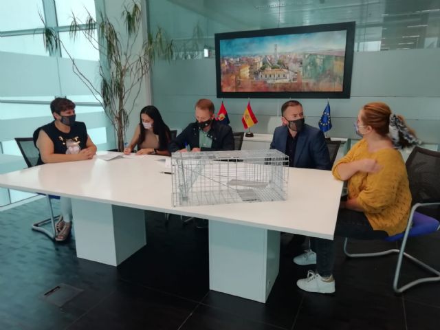 Colonias felinas en condiciones higiénico sanitarias adecuadas - 2, Foto 2