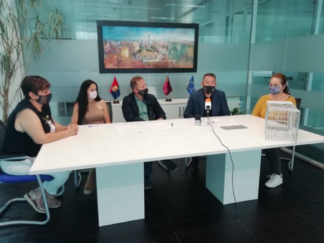 Colonias felinas en condiciones higiénico sanitarias adecuadas - 3, Foto 3