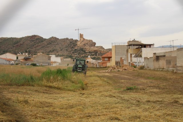 El Ayuntamiento inicia la campaa de desbroce y limpieza de solares, Foto 1