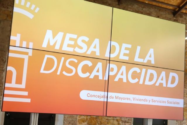 Más de treinta entidades de la discapacidad analizan las propuestas sobre los nuevos itinerarios accesibles en barrios y pedanías - 1, Foto 1