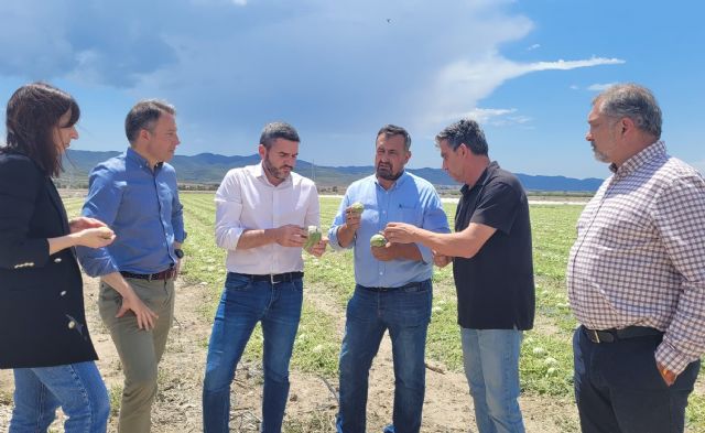 El Gobierno regional exige al central un cambio del modelo de seguro que sea útil y contemple las singularidades de nuestro sector agrario - 1, Foto 1