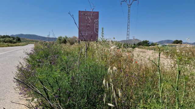 El PSOE de Lorca reclama el desbroce de todas las cunetas y un trato igualitario para todas las pedanías del municipio - 3, Foto 3