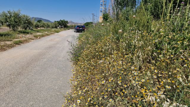 El PSOE de Lorca reclama el desbroce de todas las cunetas y un trato igualitario para todas las pedanías del municipio - 4, Foto 4