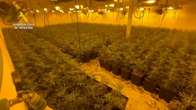 La Guardia Civil desmantela un macrocultivo de marihuana en Totana, Foto 6