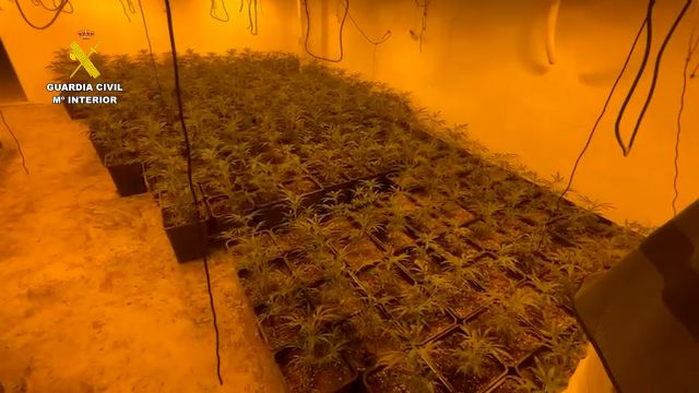La Guardia Civil desmantela un macrocultivo de marihuana en Totana, Foto 7