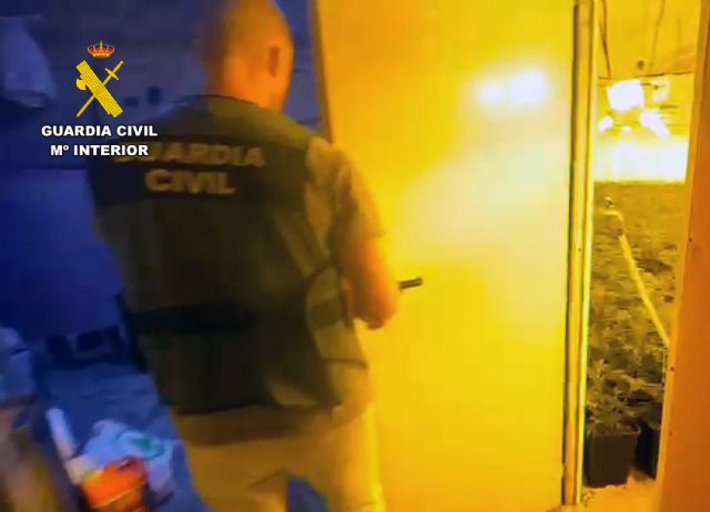 La Guardia Civil desmantela un macrocultivo de marihuana en Totana, Foto 8