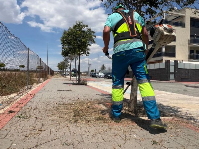 Murcia completa más de 130 jornadas de desbroce en mayo y alcanza una veintena de pedanías con su plan especial de limpieza - 1, Foto 1