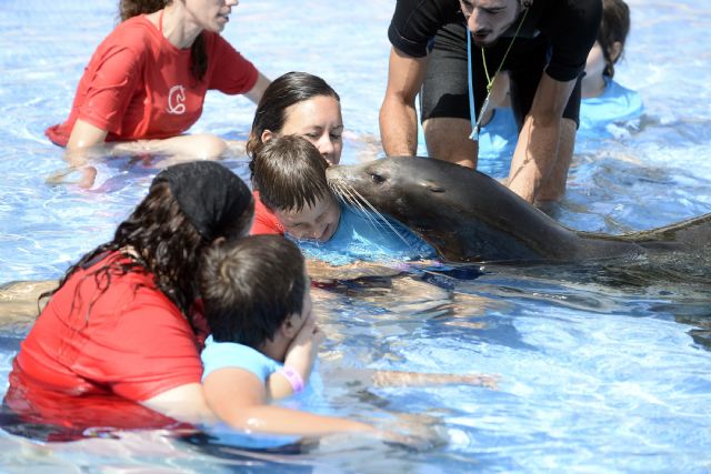 Zooterapia con leones marinos para potenciar las capacidades de los niños en la Escuela de Verano Adaptada de Terra Natura - 2, Foto 2