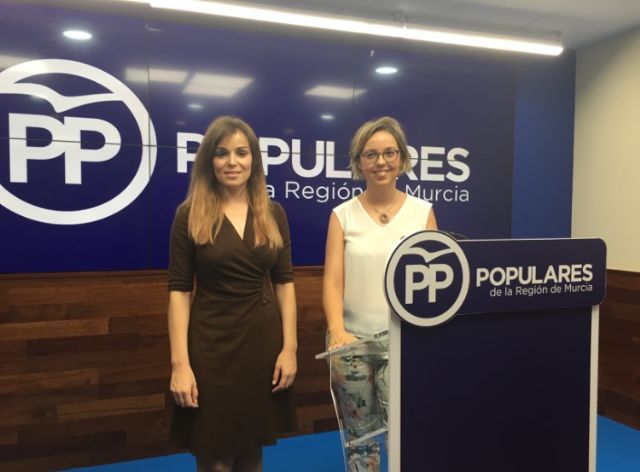 PP: El PSOE genera agravios comparativos y endeudadará a comunidades al no incluir financiación en medidas educativas - 2, Foto 2