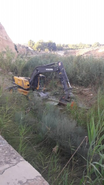 Limpieza del río Mula - 1, Foto 1