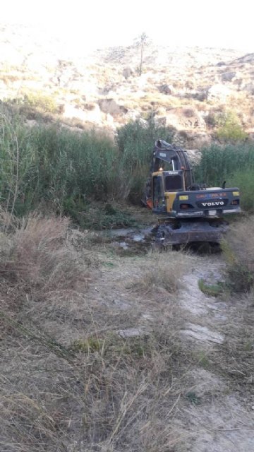 Limpieza del río Mula - 2, Foto 2