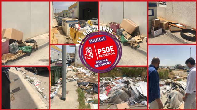El PP de Molina de Segura denuncia el lamentable estado en el que tiene Eliseo García, alcalde y presidente de Sercomosa, a los polígonos industriales - 1, Foto 1