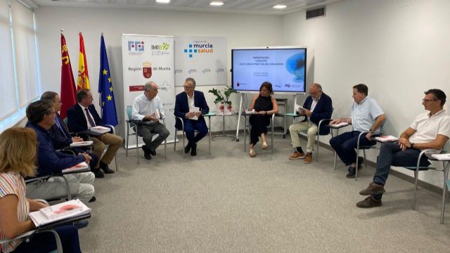 Nueva guía clínica práctica del melanoma - 2, Foto 2