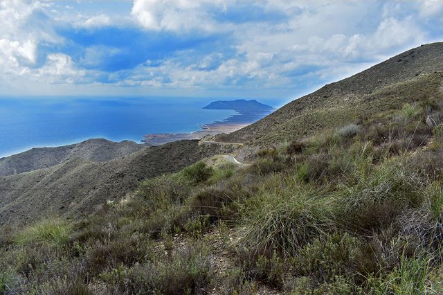 Vox y PP aprueban una moción contra la joya del medioambiente lorquino: el Parque Regional de Puntas de Calnegre - 3, Foto 3