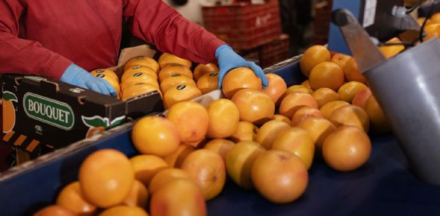 La cooperativa murciana Frucimu entra en el accionariado de Agriconsa - 2, Foto 2