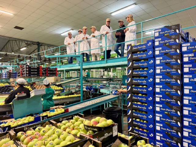 El Gobierno regional impulsa la competitividad del sector hortofrut�cola con 89,7 millones de euros en ayudas a los productores, Foto 2