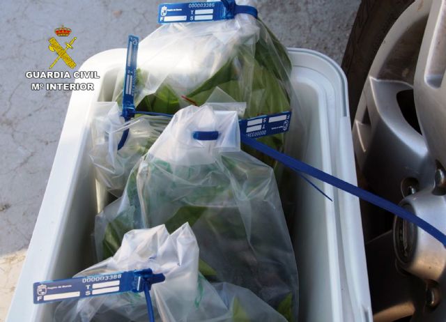 La Guardia Civil investiga a tres personas por utilizar con fines comerciales variedades de frutales protegidas - 5, Foto 5