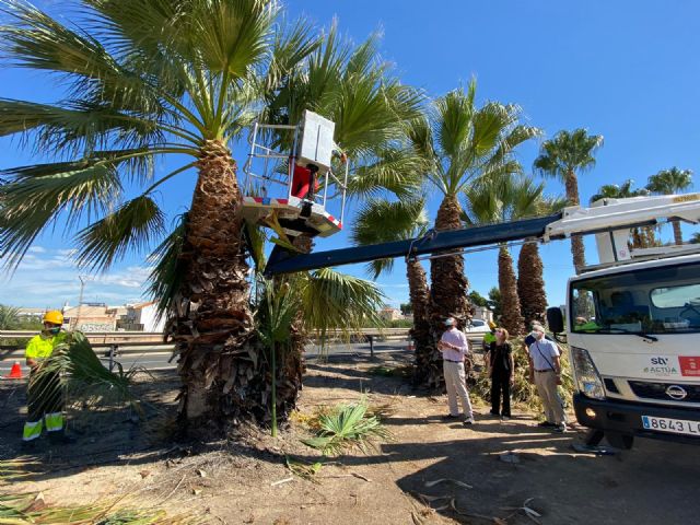 El Ayuntamiento acondiciona todos los accesos de entrada a Murcia, coincidiendo con la Operación Retorno - 1, Foto 1