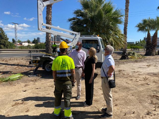 El Ayuntamiento acondiciona todos los accesos de entrada a Murcia, coincidiendo con la Operación Retorno - 2, Foto 2