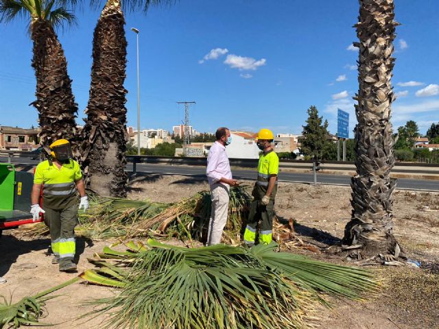 El Ayuntamiento acondiciona todos los accesos de entrada a Murcia, coincidiendo con la Operación Retorno - 3, Foto 3