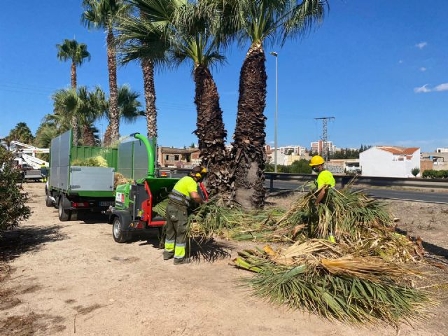 El Ayuntamiento acondiciona todos los accesos de entrada a Murcia, coincidiendo con la Operación Retorno - 4, Foto 4