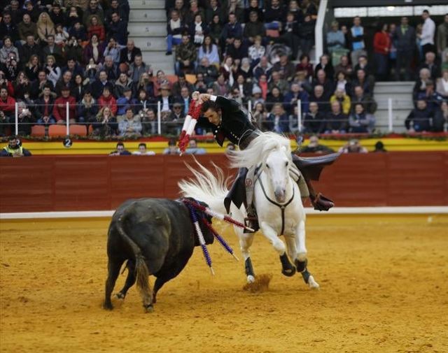 Muere Dólar, el caballo estrella de Diego Ventura - 3, Foto 3