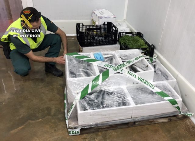 La Guardia Civil interviene más de 100 kilos de varios productos pesqueros en la lonja de Alcantarilla - 1, Foto 1
