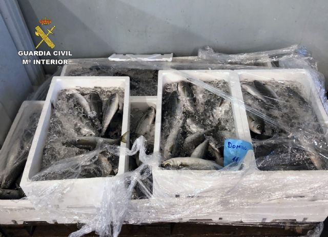 La Guardia Civil interviene más de 100 kilos de varios productos pesqueros en la lonja de Alcantarilla - 2, Foto 2