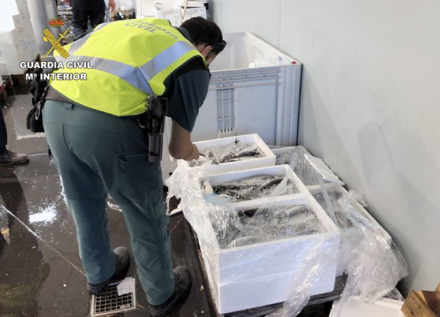 La Guardia Civil interviene más de 100 kilos de varios productos pesqueros en la lonja de Alcantarilla - 3, Foto 3