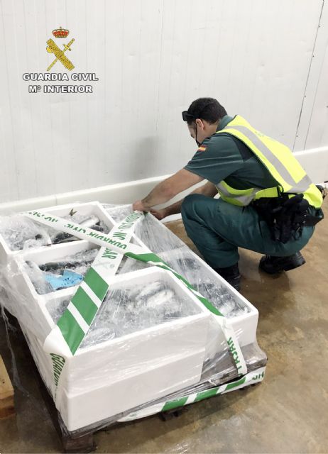 La Guardia Civil interviene más de 100 kilos de varios productos pesqueros en la lonja de Alcantarilla - 4, Foto 4