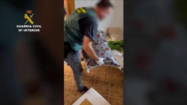 La Guardia Civil desmantela un invernadero con 660 plantas de marihuana de gran tamaño en un chalet de San Javier - 4, Foto 4