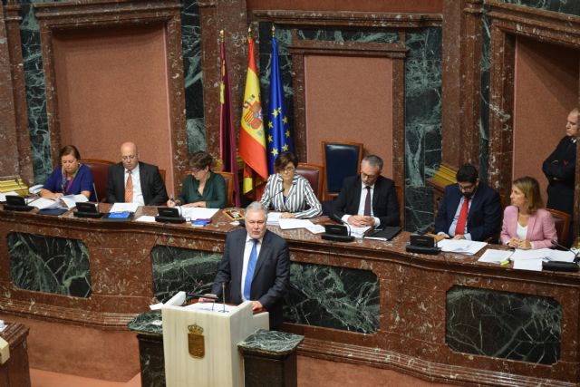 El PP pide un plan de apoyo al sector de la flor cortada en la Región que impulse su proyección nacional e internacional - 1, Foto 1