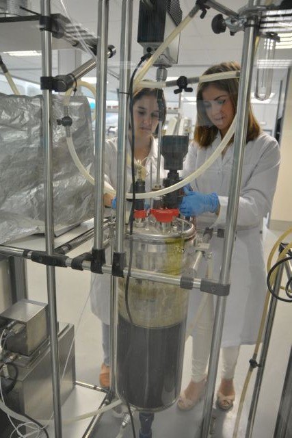 Alumna de la UPCT contratada por el Cetenma optimiza la producción de biogás en digestión anaerobia - 2, Foto 2