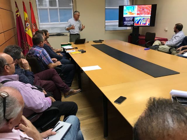 Técnicos municipales participan en un seminario sobre la importancia del arbolado urbano en las ciudades de mano del experto arborista Gerard Passola - 1, Foto 1