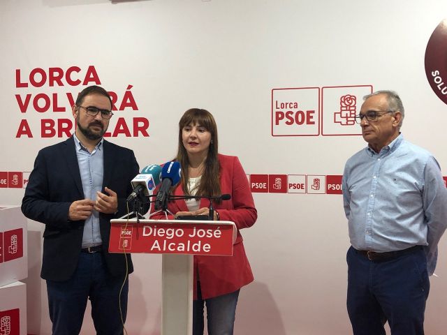 Marisol Sánchez Jódar: Necesitamos un gobierno y un presupuesto cuanto antes - 2, Foto 2