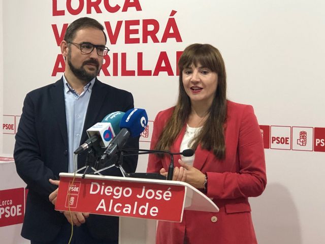 Marisol Sánchez Jódar: Necesitamos un gobierno y un presupuesto cuanto antes - 3, Foto 3