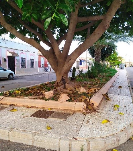 MC: Se acrecienta el incomprensible castigo de Arroyo y su PP a los vecinos de El Algar - 5, Foto 5